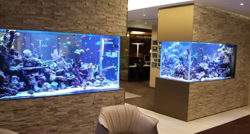 bể cá làm bằng kính cường lực